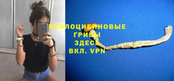 стаф Абинск