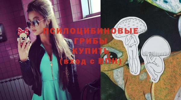 а пвп мука Абдулино