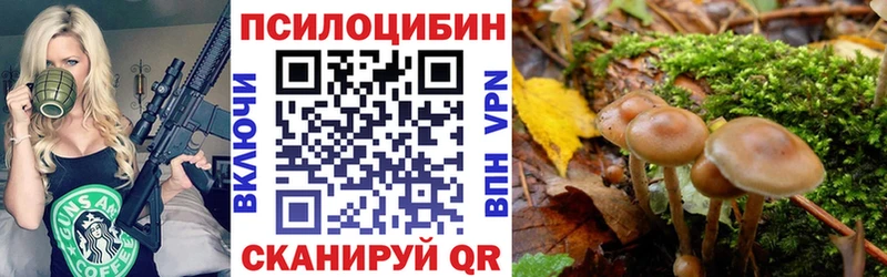 Галлюциногенные грибы Psilocybe  блэк спрут сайт  Яхрома  магазин продажи наркотиков 